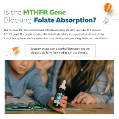 Kids Active Folate Drops — 5-MTHF + Methyl B12