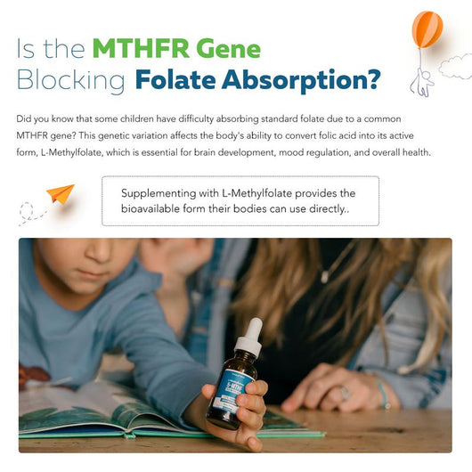 Kids Active Folate Drops — 5-MTHF + Methyl B12
