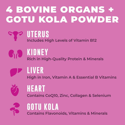 Beef Organs for Women — Iron + B12, Folate & Copper